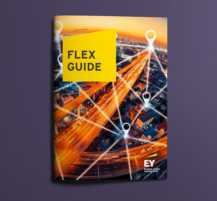 Capa para o livreto Flex Guide EY